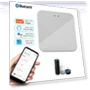 Smart Multi Mode Gateway Hub Bridge — Smart Home Hubs & Controllers, Build My Home