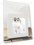 Smart Pet Dryer — Vents, Rainbow Rain