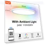 Ultra Thin Smart LED Ceiling Light — LED, Rainbow Rain