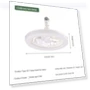 Ceiling Fan with LED Light — Ceiling Fan Lighting Solutions, Build My Home