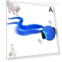 Interactive Cat Toy — Cat Playthings, IKEA Supermarket