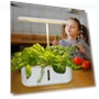 Smart Grow Light for Plants — Growing Lamps, Thunder And Fire