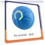 Smart Rolling Ball for Pets — Interactive Animal Companions, The best future
