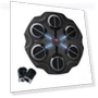 Music Boxing Target with Light Effect — Boxing Training Gear, newaday