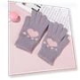 Touchscreen Thickened Gloves — Gloves, Xin Bangbang