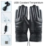 USB Heated Plush Gloves — Gloves, Dinosaur Fifty Two