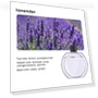 Aromatherapy Essential Oil Diffuser — Diffusers, Vinde Home