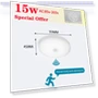 LED Ceiling Light with Motion Sensor — Overhead Lighting, AE Selection