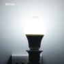 LED Motion Sensor Light Bulb — LED, 888 Auto Parts Town