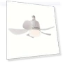 Remote Control Lighting LED Lamp Ceiling Fan — Ceiling Fan Lighting Solutions, Seahorse Home
