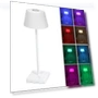 RGB+CCT Desk Lamp — Study & Desk Lighting, Stone Home
