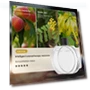 Smart Aromatherapy Machine — Car Air Fresheners, Vinde Home