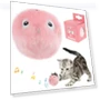 Smart Cat Toys Set — Cat Playthings, GYROBALL