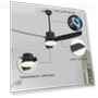 52-inch Silent Remote Control Reversible DC Ceiling Fan Light — Ceiling Fan Lighting Solutions, Build My Home