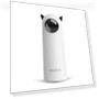 Automatic Cat Toys — Cat Playthings, NATAWA