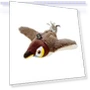 Interactive Chirping Bird Toy for Cats — Cat Playthings, Love Pet House