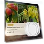 Smart Air Freshener Diffuser — Diffusers, 888 Auto Parts Town