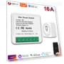 Smart Switch — Smart Home Modules, Tuya