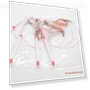 Interactive Cat Training Toy — Cat Playthings, AI Supermarket