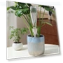 Japanese Style Drip Irrigation Device — Drip Kits, AI Supermarket