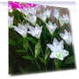 Waterproof LED Garden Light with Lilies — Outdoor Security & Flood Lighting, AI Supermarket