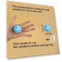 Interactive Ball for Cats — Cat Playthings, JINGYUE Pet