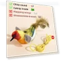Interactive Cat Toys — Cat Playthings, JINGYUE Pet