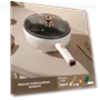 Smart Multi-functional Electric Frying Pan — Electric Woks, StrideBox