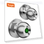 Fingerprint Door Lock — Biometric Security, HOME-Auto-001