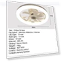 Smart Remote Control for Ceiling Fan with Light — Ceiling Fan Wall Controls, The Romantics