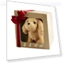 Plush Robot Puppy Toy — Interactive, Exquiste life