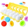 Early Education Pairing Smart Egg — Infant & Early Childhood Playthings, Happy Time For kids