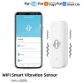 WiFi Vibration Sensor — Smart Home Security, Home Renovation