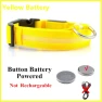 LED Glowing Dog Collar — Collars, Smart Pet Supplies