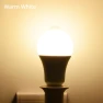 Motion Sensor LED Lamp — Outdoor Security & Flood Lighting, HOME-Auto-001