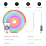 RGBIC Neon LED Strip — LED Strips, HOME-Auto-001