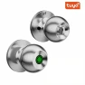 Smart Door Handle with Fingerprint — Biometric Security, Crown Global