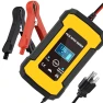 Smart Fully Automatic Battery Charger with LCD Display — Battery Chargers, VehicleKit
