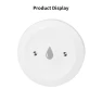 Water Leak Sensor — Water Leak Detection Systems, HOME-Auto-001