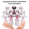 Robot with Remote Control — Interactive Figures & Robots, Various household supplies