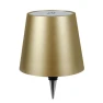 Wireless Bottle Lamp — Lighting, caicaichen