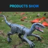 Electric Remote Control Walking Velociraptor Dinosaur Toy — Interactive Figures & Robots