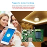 WiFi Smart Switch Relay Module — Smart Home Modules, eWeLink