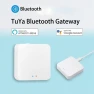 Smart Home Gateway Hub Bridge — Smart Home Hubs & Controllers, Tuya Smart