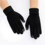 Winter Touchscreen Gloves — Arm Warmers, ping Day