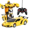 Electric Remote Control Car — Remote Control Cars, Holland Zho