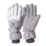 Winter Gloves for Skiing and E-Biking — Gloves & Mittens, Super Case