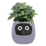 Smart Plant Pot — Controllers, Good Household Items