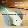 Electric Smart Cat and Mouse Car — Cat Playthings, Shining Sky