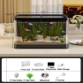 LED Illuminated Transparent Desktop Aquarium Set — Lights, CDxianshen
